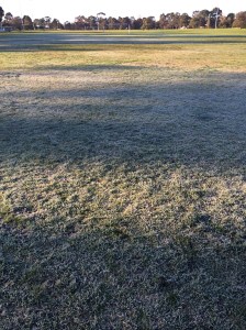 In the Bleak Mid Winter, Frosty Wind Made Moan...