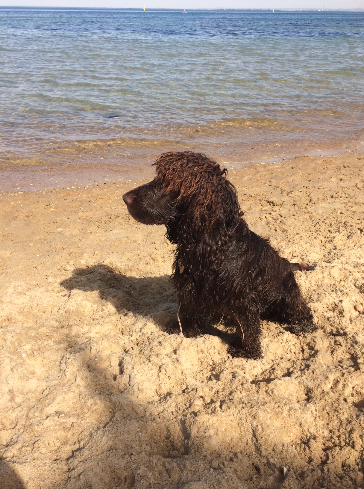 Bertie sporting sand and salt sculpted hair...